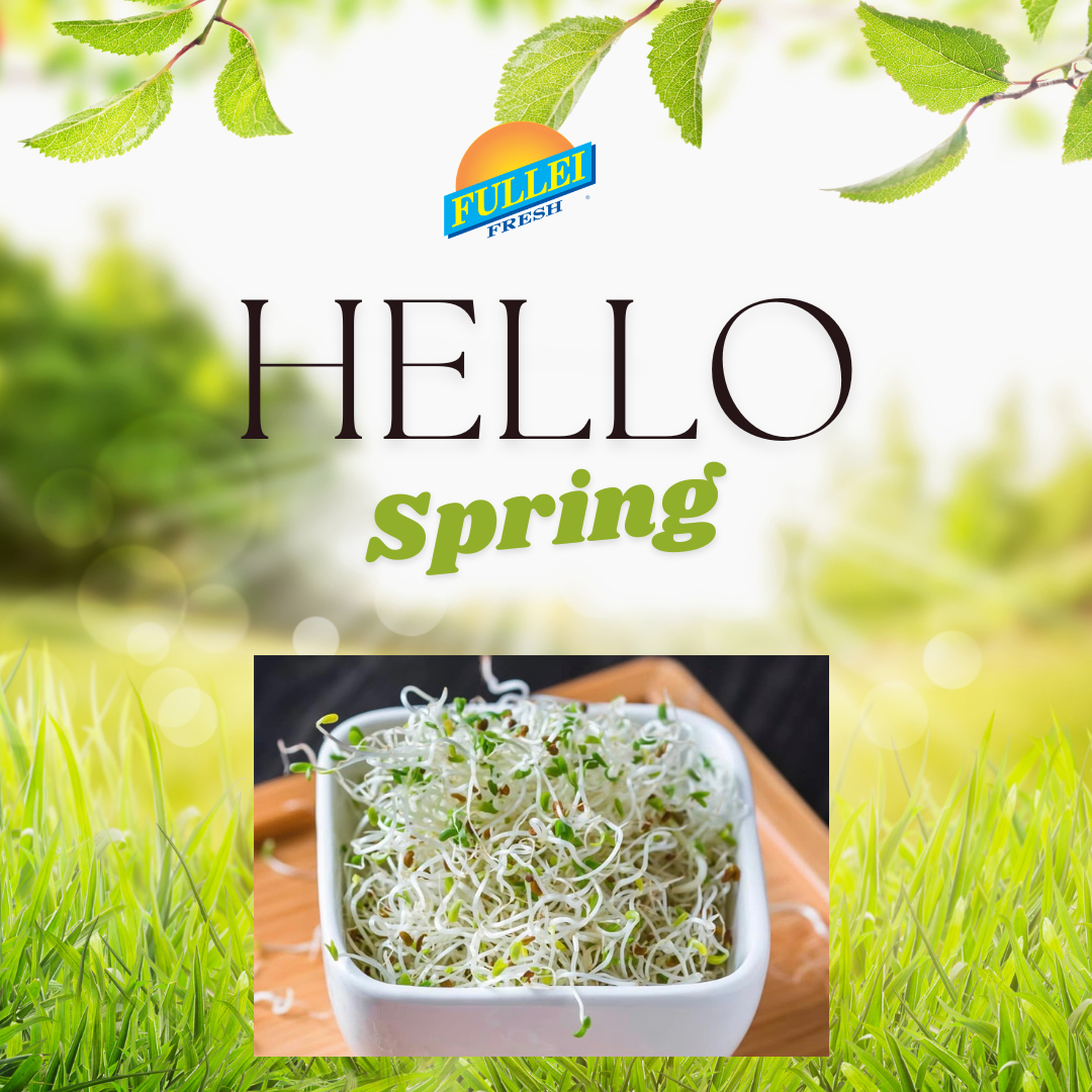 Freshen Up Your Meals with Sprouts